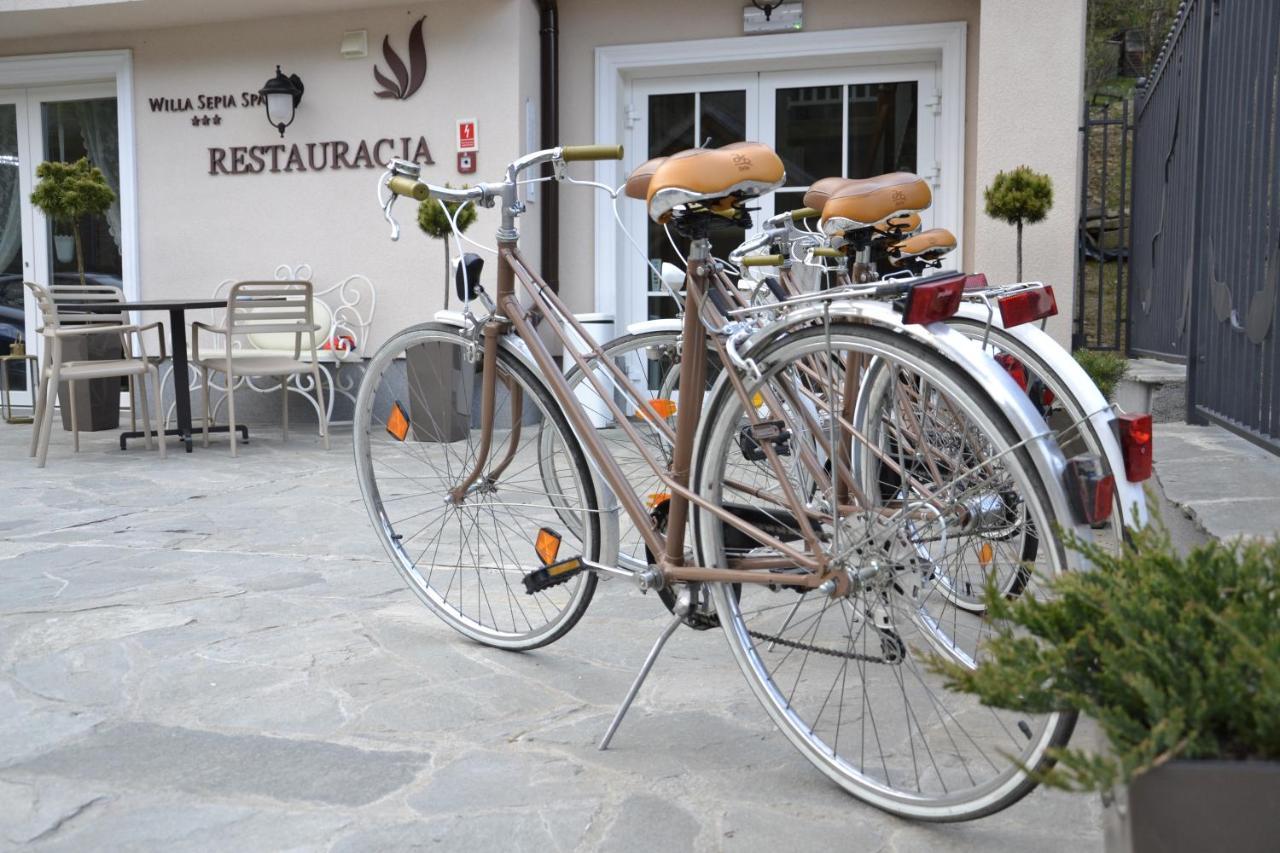 Willa Sepia Spa Wisla Exterior photo